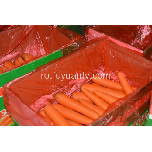 Prețul fabricii proaspete de morcovi de bună calitate